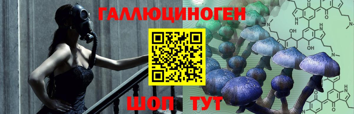 Галлюциногенные грибы GOLDEN TEACHER Майкоп